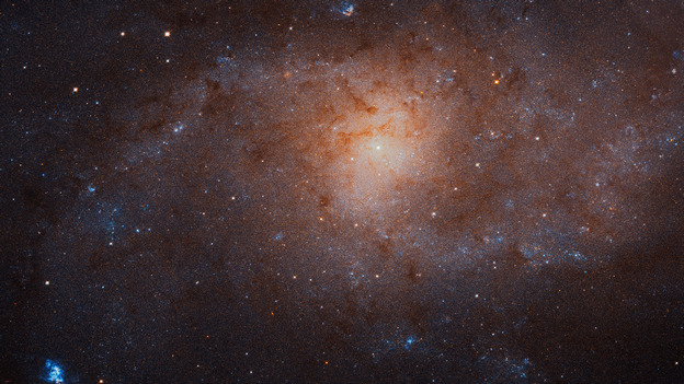 Triangulum galaxy